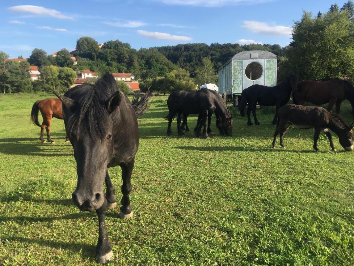 Glamping - Stylova Maringotka V Srdci Ladova Kraje, Pobliz Hlavniho Mesta Prahy Stribrna Skalice エクステリア 写真